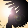 HediN__KuN